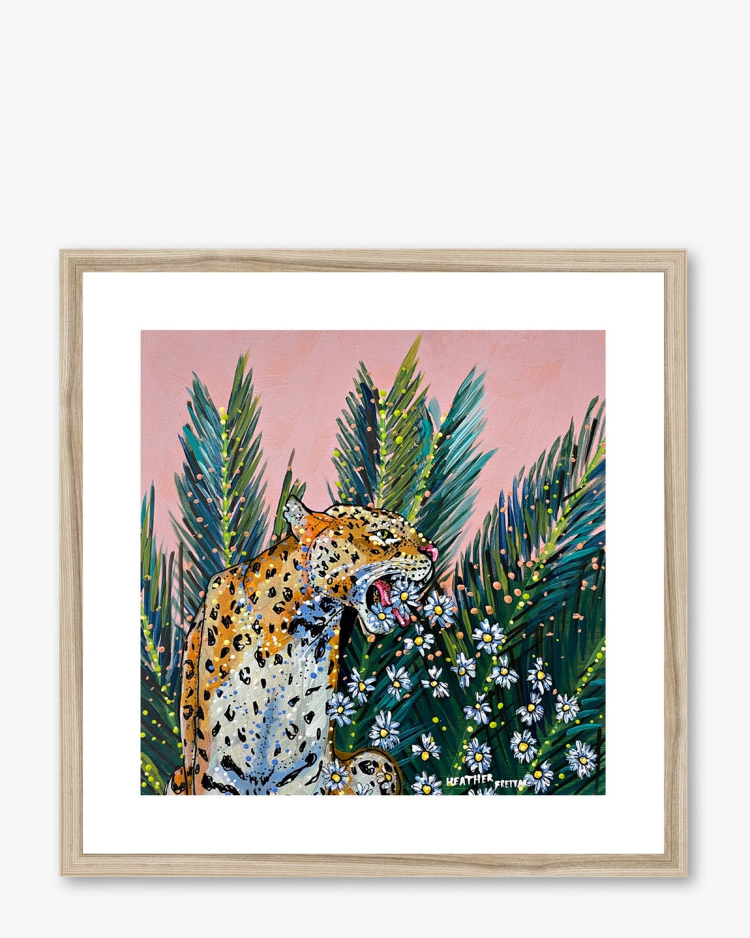 Jaguar Daisy Framed & Mounted Print - Heather Freitas - fine art home deccor