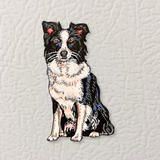 Border Collie Magnet ( Die-Cut )