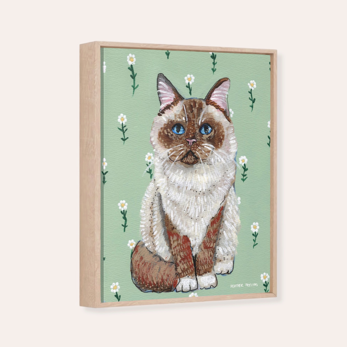 Ragdoll Cat Framed Fine Art Canvas Print