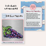 Grapes Magnet ( Die-Cut )