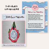 Dragonfruit Magnet ( Die-Cut )