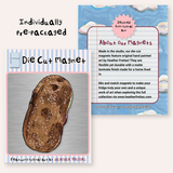 Potato Magnet ( Die-Cut )