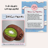 Kiwi Magnet ( Die-Cut )