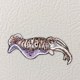 Cuddlefish Magnet ( Die-Cut )