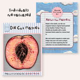 Peach Magnet ( Die-Cut )