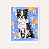 Border Collie Hand Signed Fine Art Print