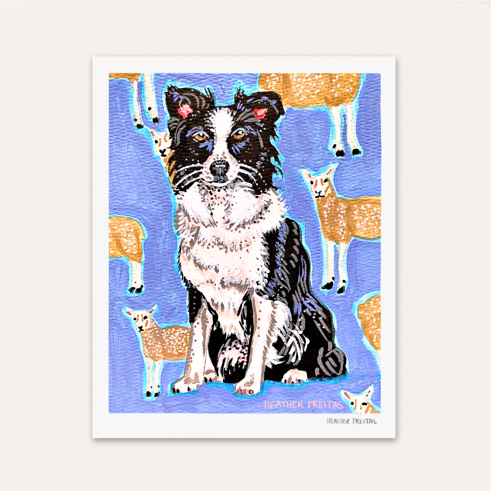 Border Collie Fine Art Print