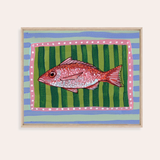 Red Snapper Framed Fine Art Canvas Print