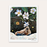 Walrus Plumeria Hand Signed Fine Art Print