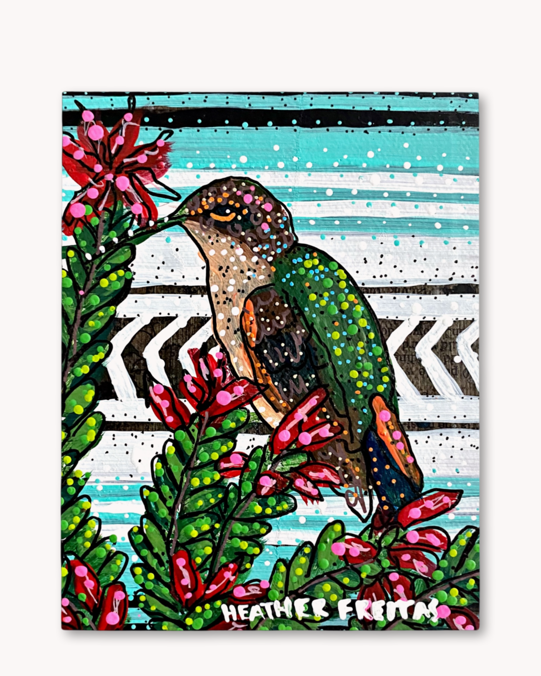 Ocotillo Hummingbird - Economy Print