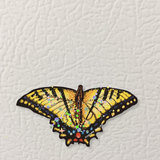 Yellow Swallowtail Butterfly Magnet ( Die-Cut )