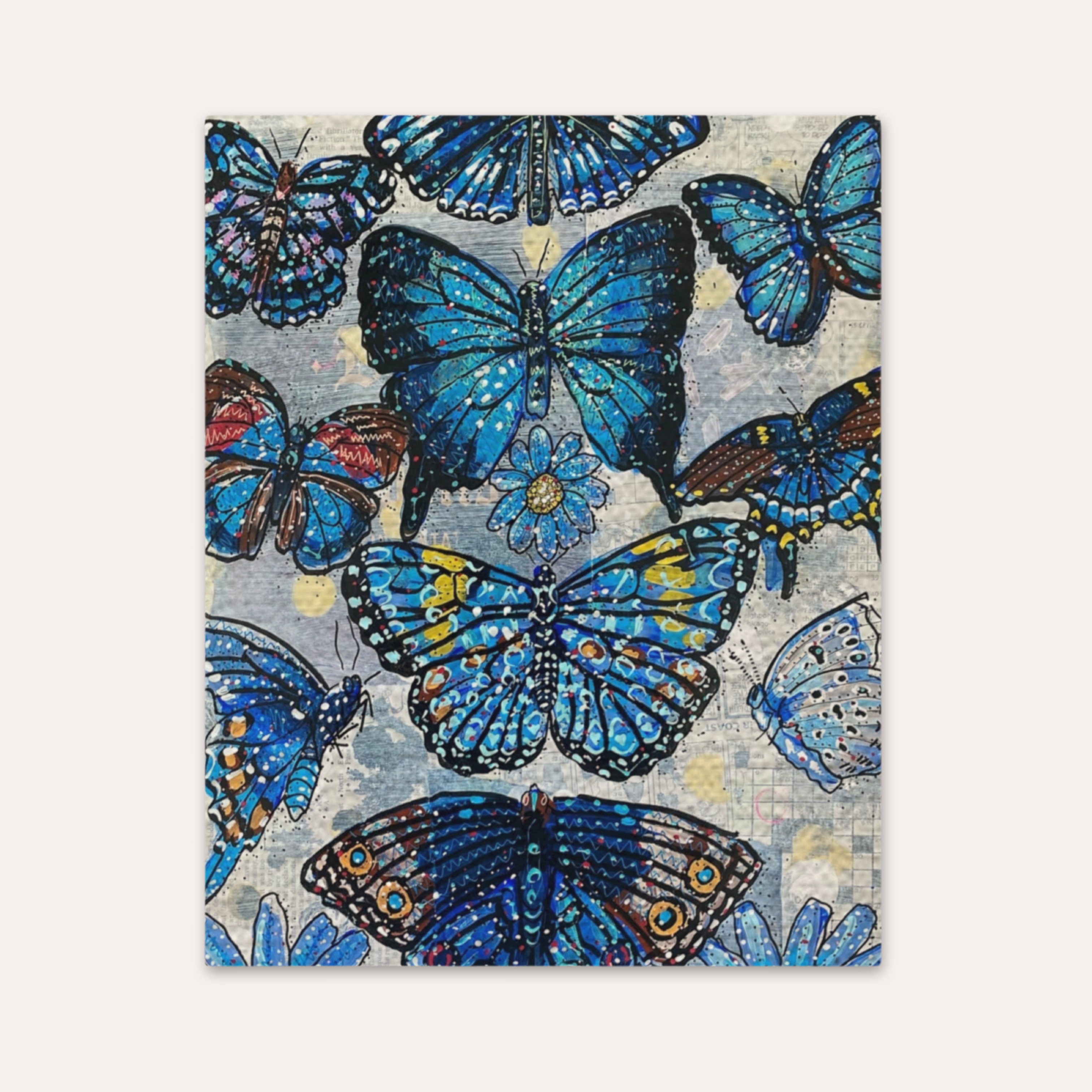 Blue Butterfly Species Fine Art Print