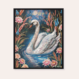 Serenity Swan Framed Fine Art Canvas Print