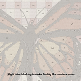 Monarch - Paint by Numbers Kit