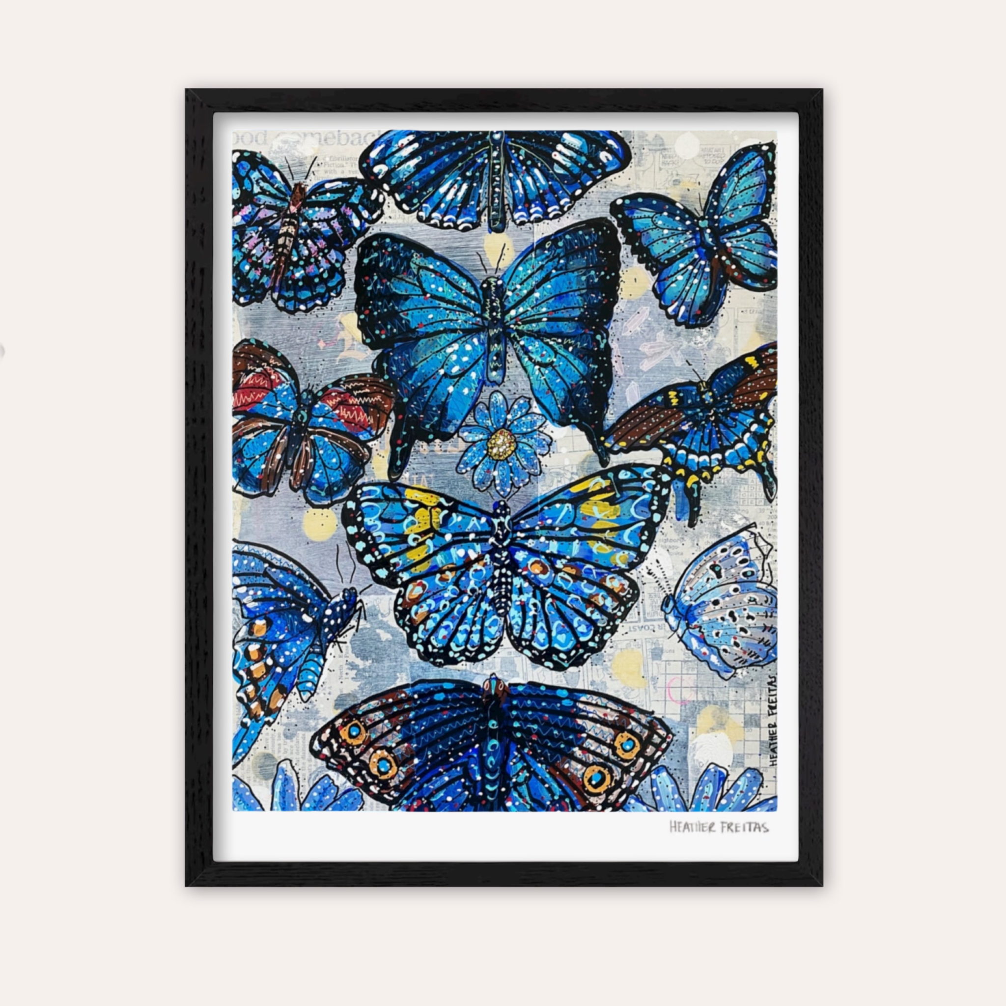 Blue Butterfly Species Fine Art Print