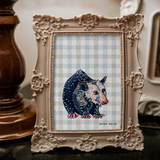 Opossum Mini Fine Art Print