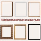 Brown Horse Mini Fine Art Print