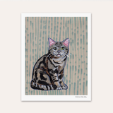 American Shorthair Cat Hand Signed Fine Art Print
