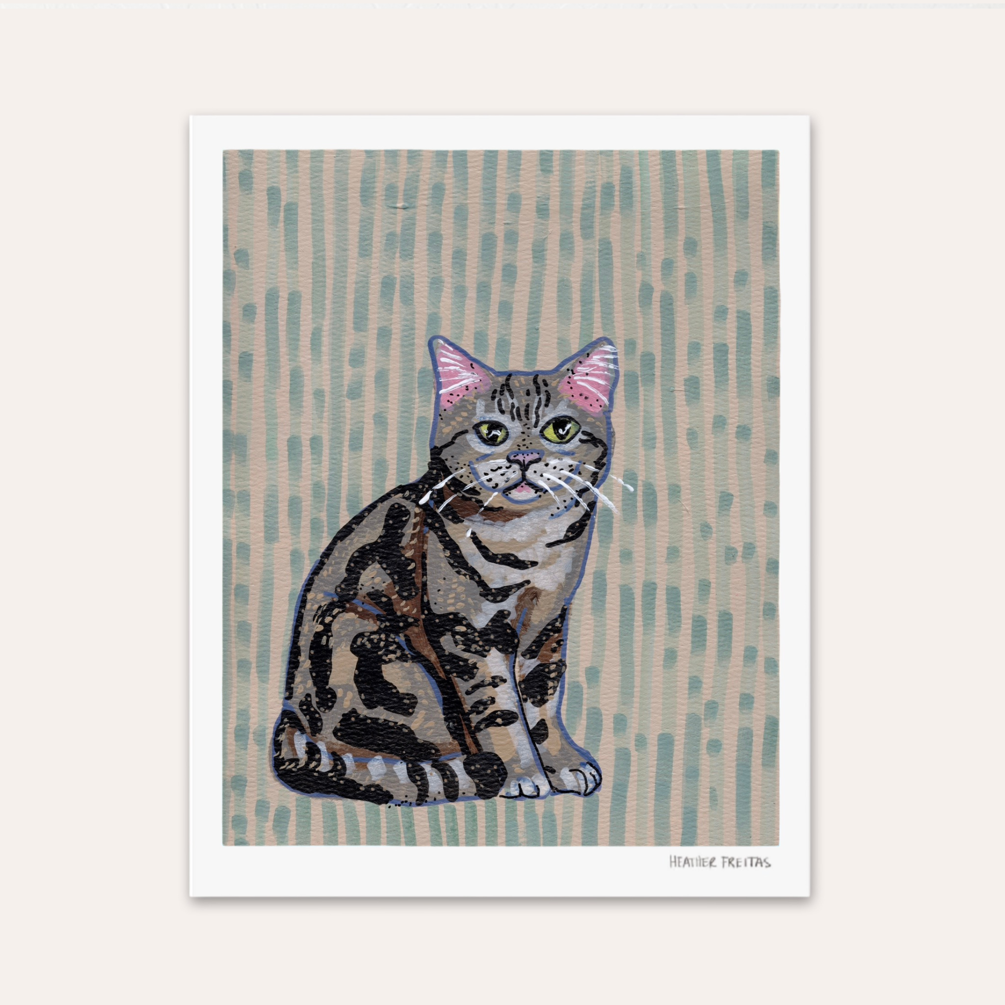 American Shorthair Cat Fine Art Print