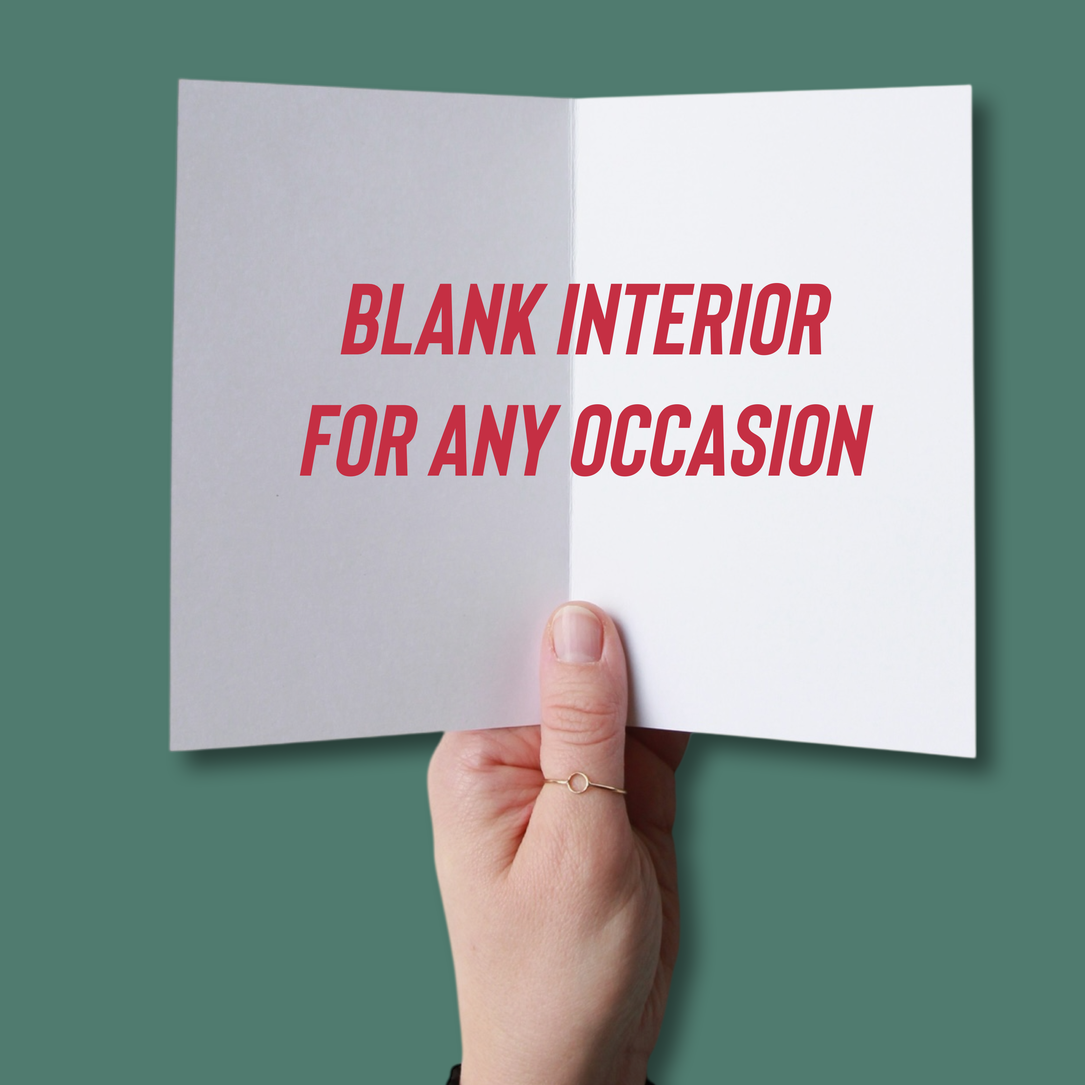 Brown Horse Starry Night Fine Art Greeting Card