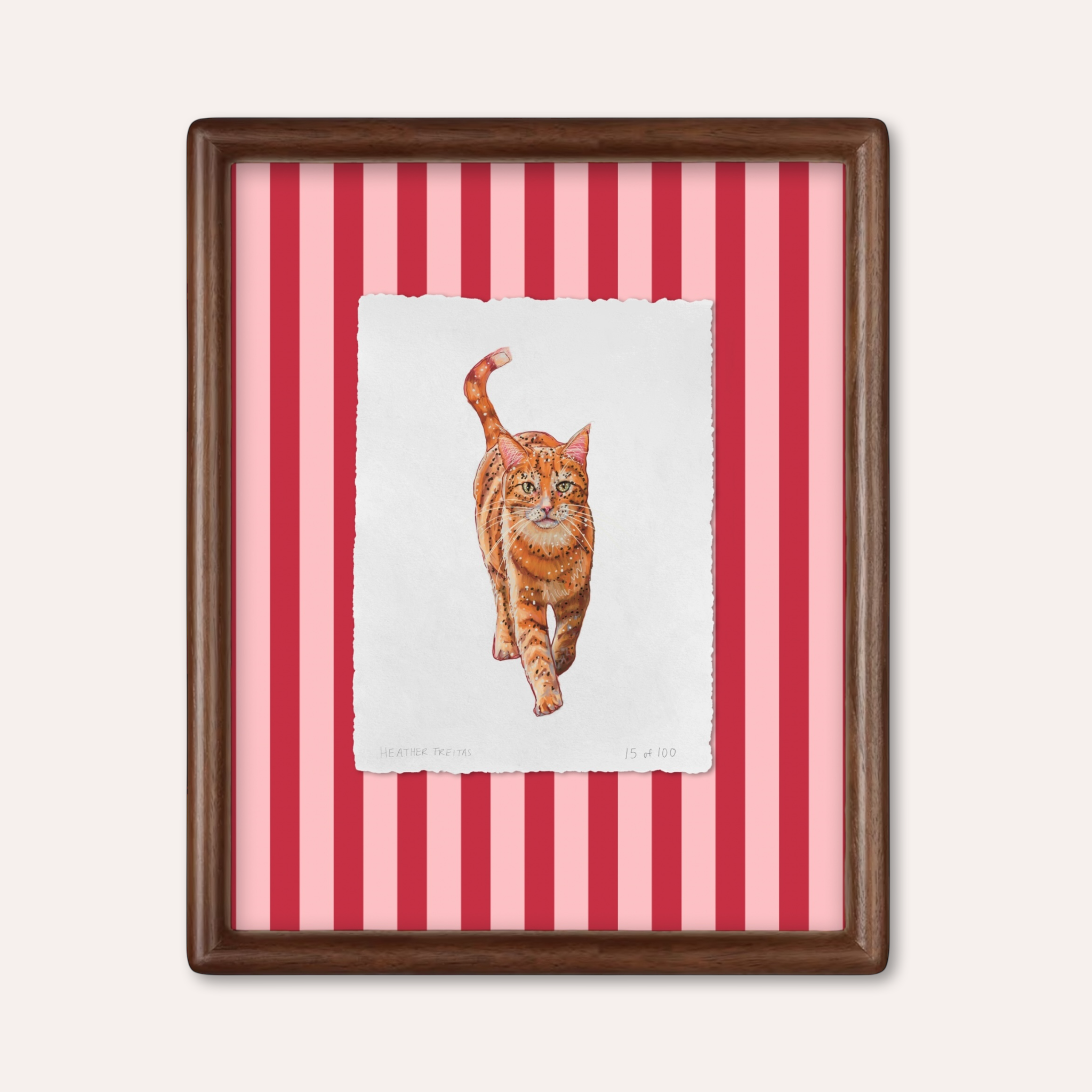 Orange Tabby Limited Edition Framed Print