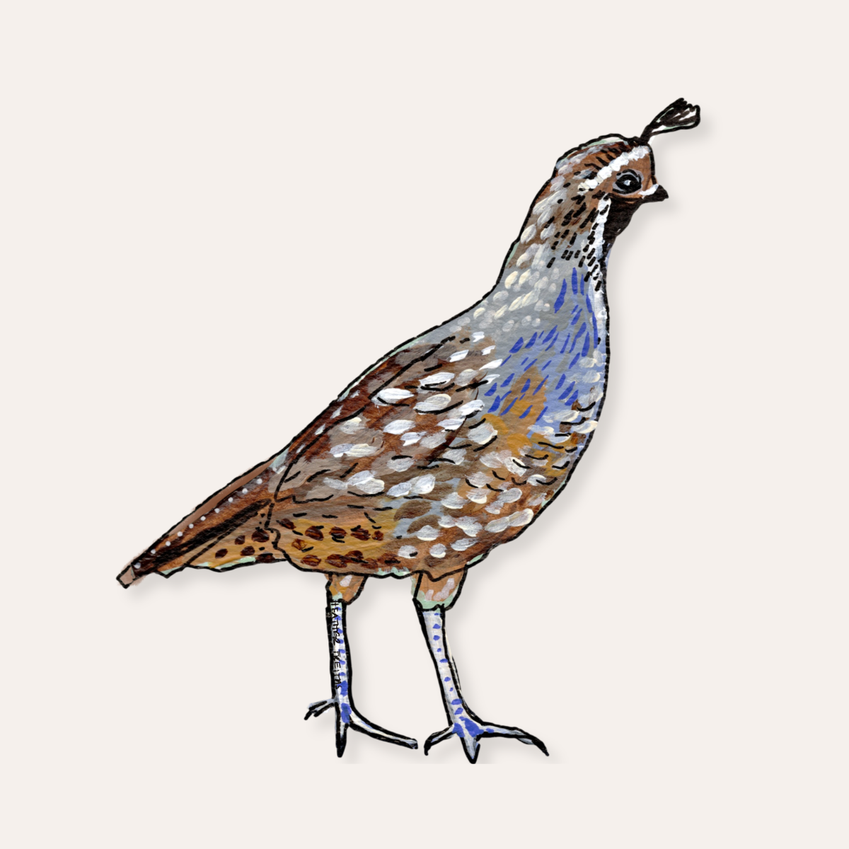 Quail Sticker