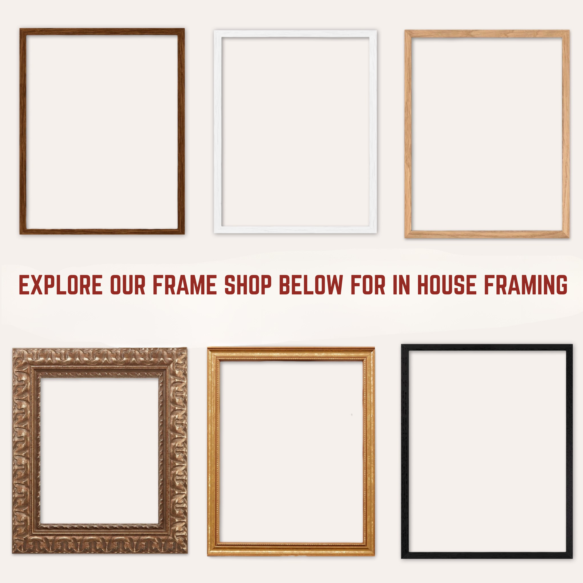 Walrus Plumeria Fine Art Print