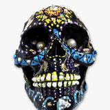 Labrador Duck Skull ( Hand Painted Sculpture )