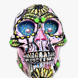 Hawaiian Rail Skull ( Hand Painted Sculpture )