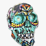 Society Parakeet Skull ( Hand Painted Sculpture )