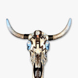 Cow Skull For Thommy Thayer ( Hand Painted Cow Skull )