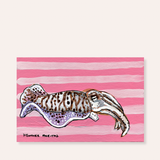 Cuddlefish ( original painting )