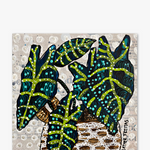 Alocasia ( Original Painting ) - Heather Freitas - fine art home deccor