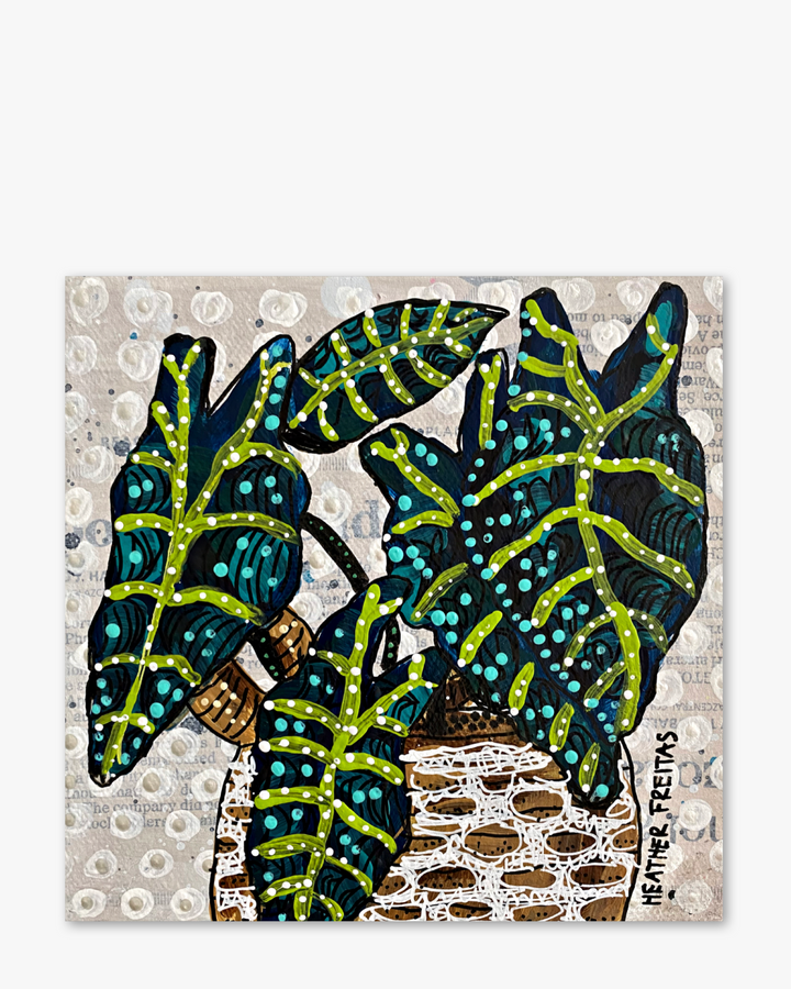 Alocasia ( Original Painting )