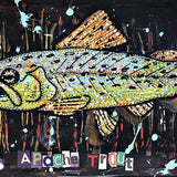Apache Trout - Heather Freitas - fine art home deccor