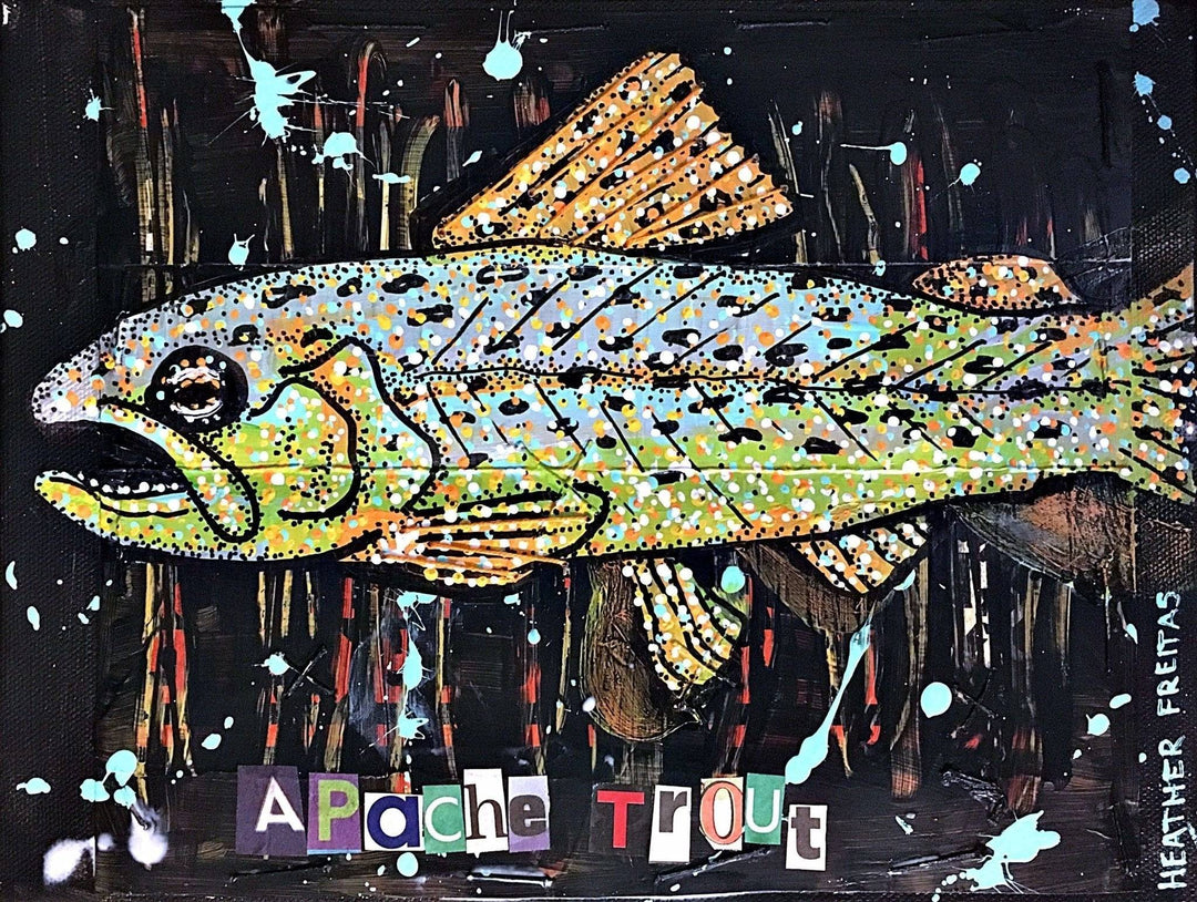 Apache Trout - Original wildlife painting Heather Freitas 