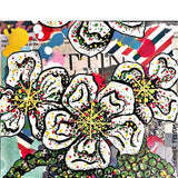 Arizona Cliffrose - Heather Freitas - fine art home deccor