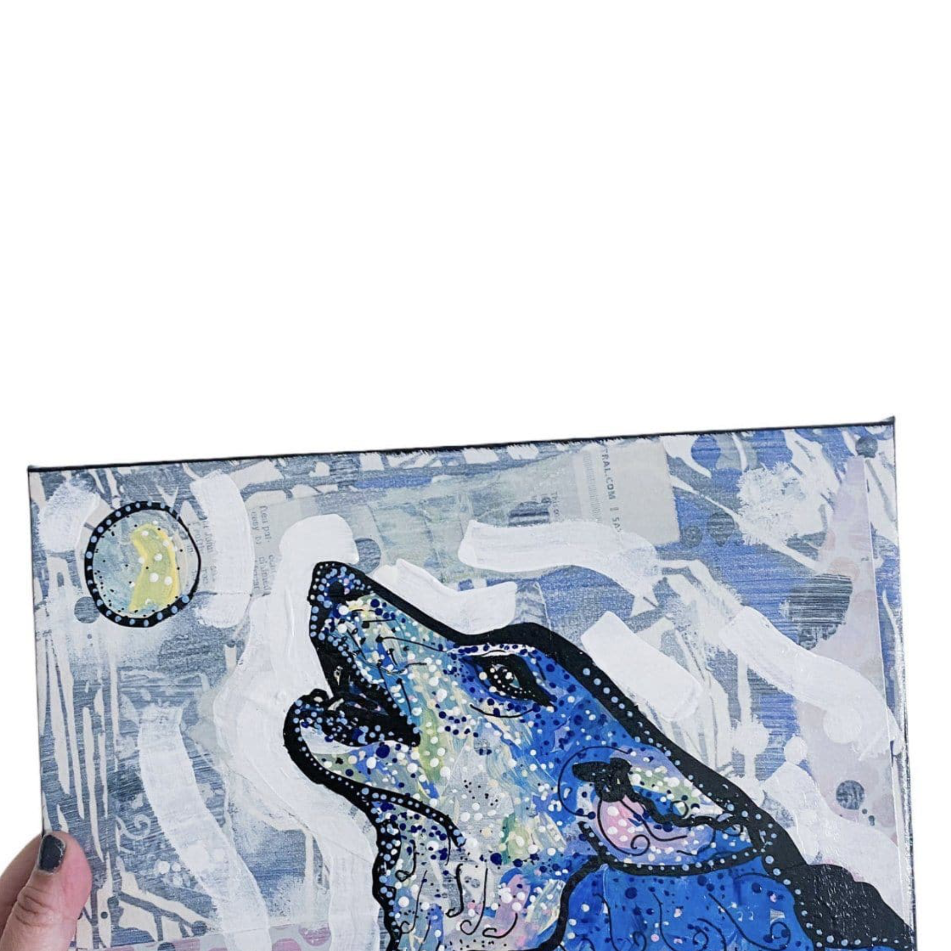 Arizona Coyote - Heather Freitas - fine art home deccor