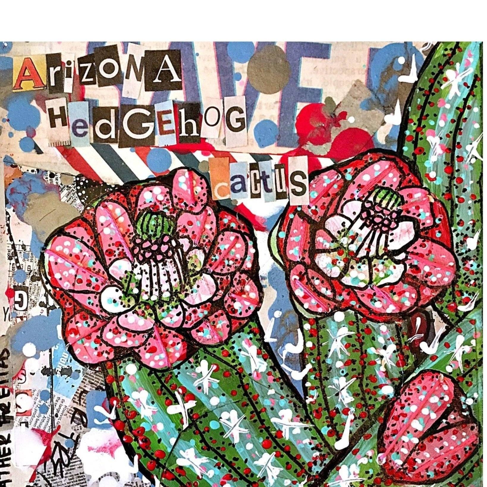 Arizona Hedgehog Cactus - Heather Freitas - fine art home deccor