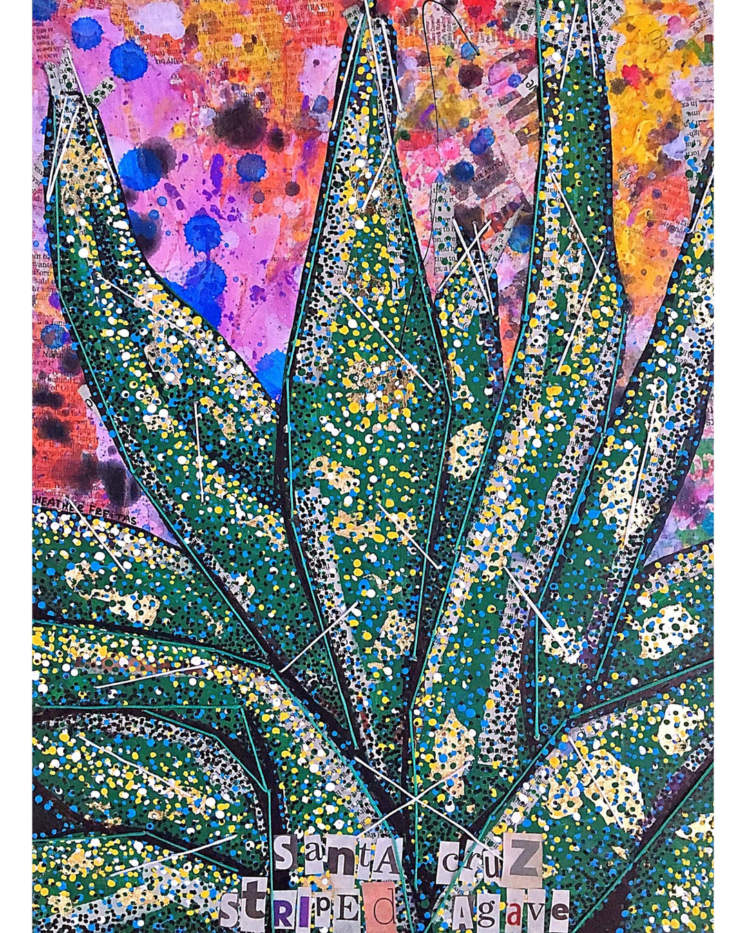 Arizona Striped Agave - Heather Freitas 