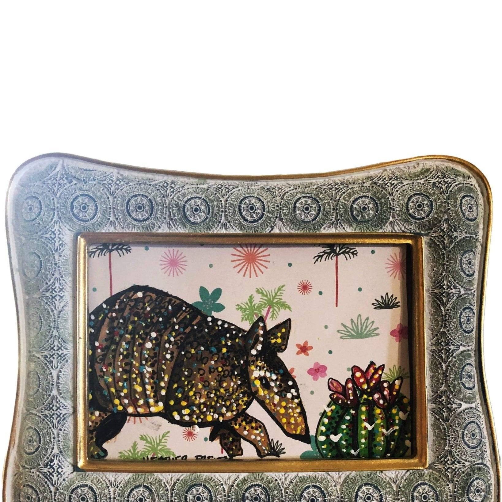 Armadillo Study - Heather Freitas - fine art home deccor