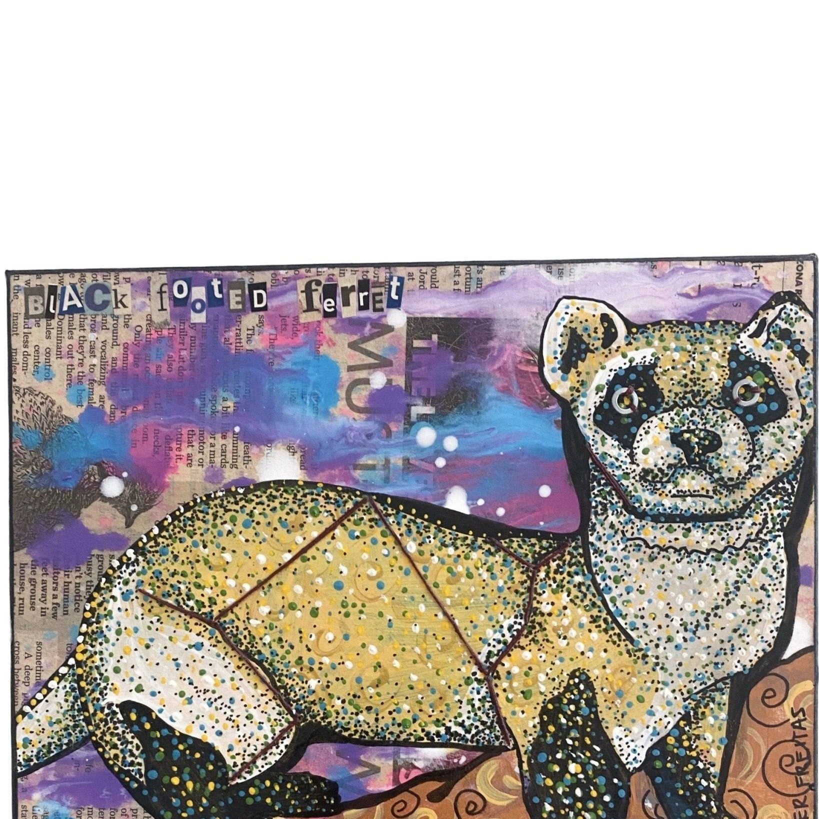 Black Footed Ferret - Heather Freitas - fine art home deccor