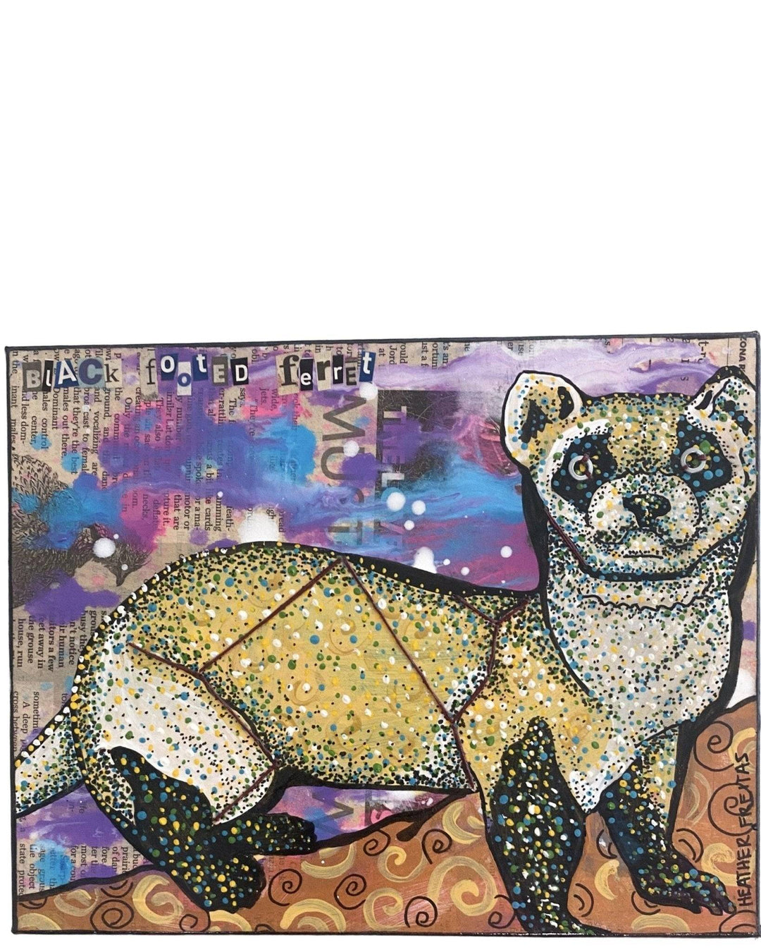 Black Footed Ferret - Heather Freitas 