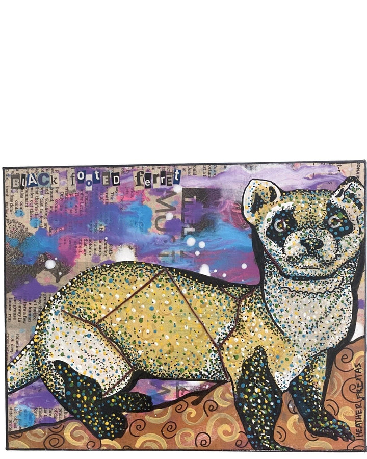 Black Footed Ferret - Heather Freitas 