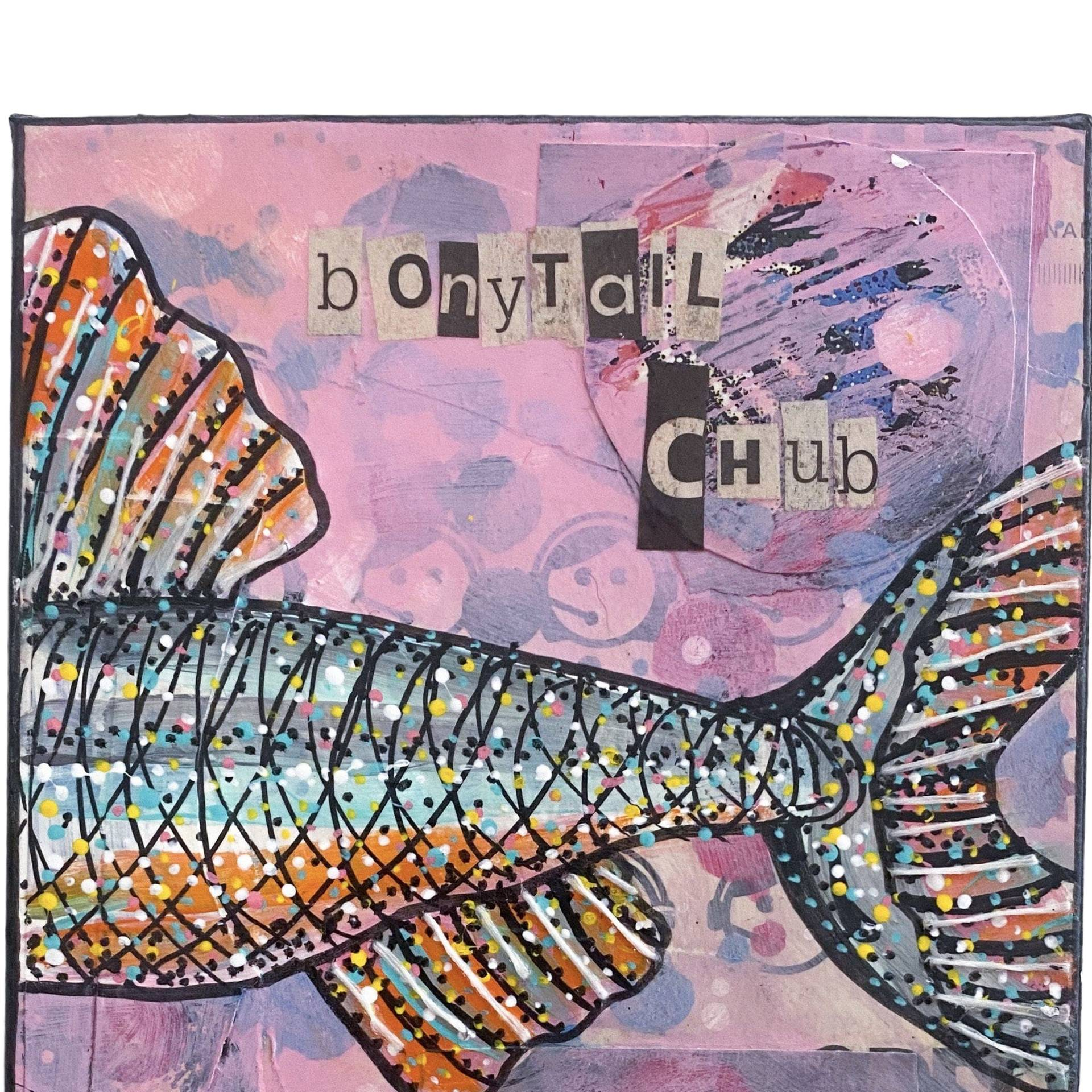Bony Tail Chub - Heather Freitas - fine art home deccor