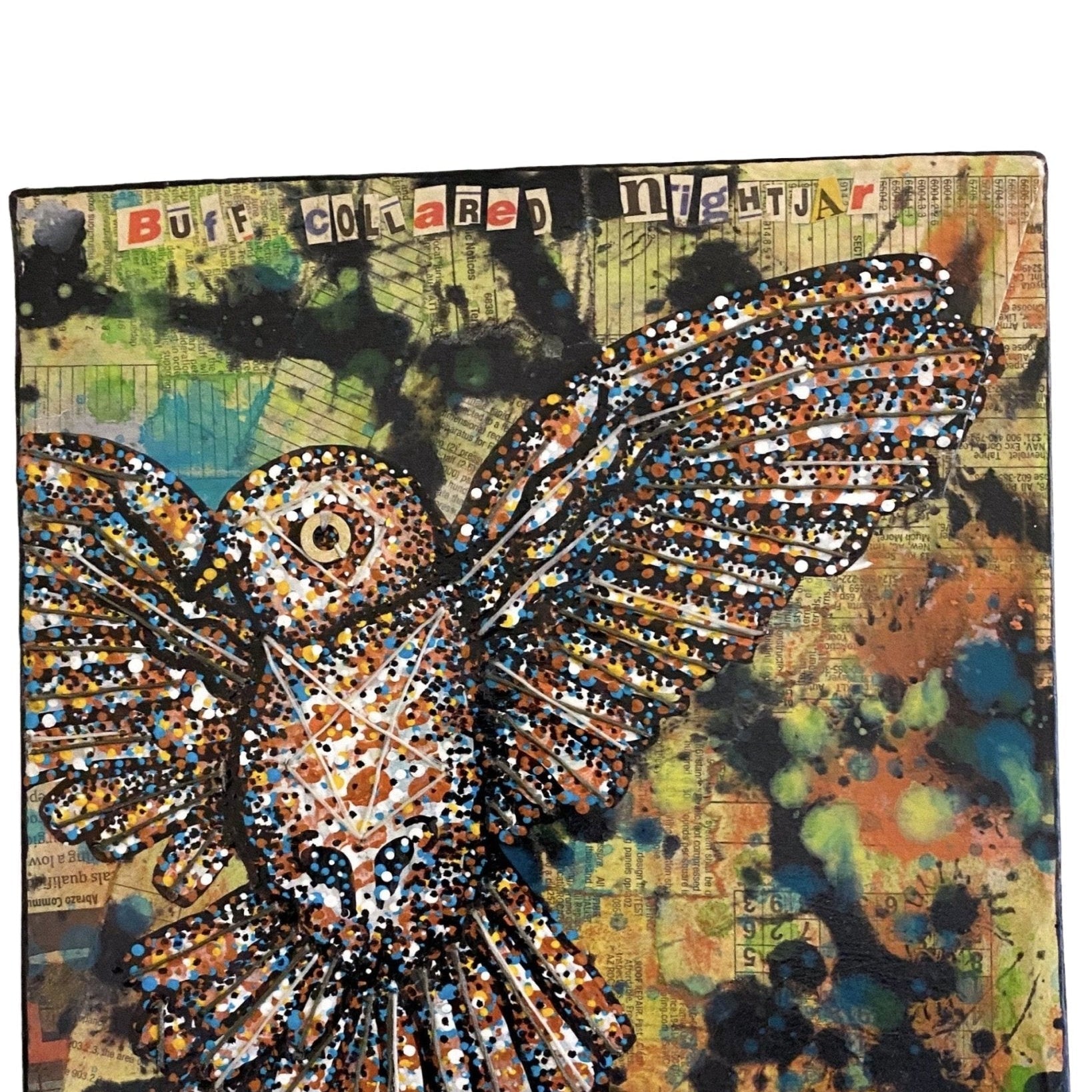 Buff Collared Nightjar - Original Painting - Heather Freitas - fine art home deccor