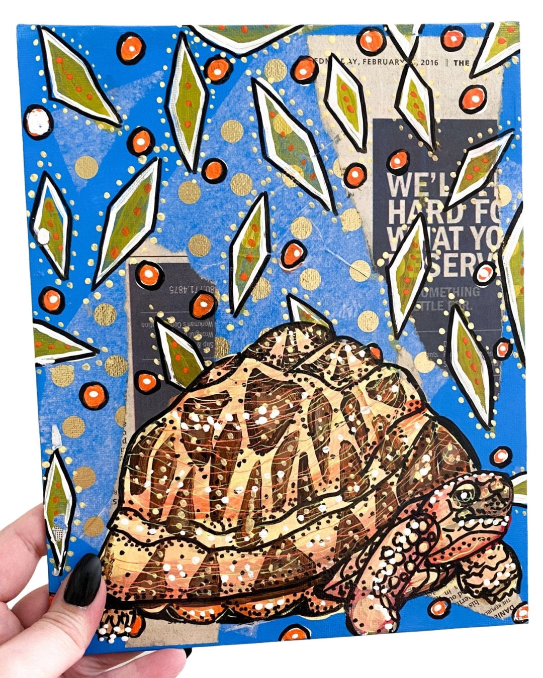 Burmese Star Tortoise - Heather Freitas - fine art home deccor