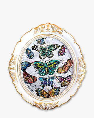 Butterfly Blue - Heather Freitas - fine art home deccor