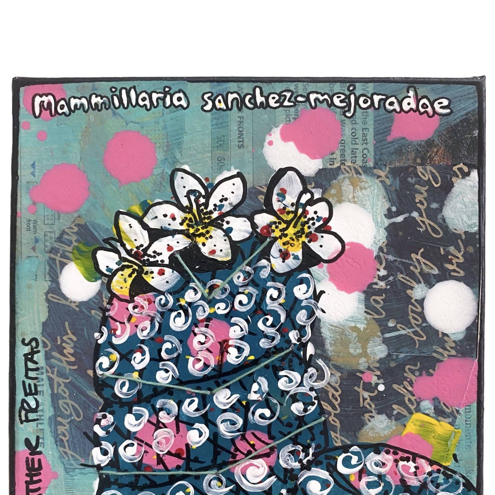 Cactus study - Heather Freitas - fine art home deccor