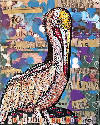 California Brown Pelican - Heather Freitas - fine art home deccor